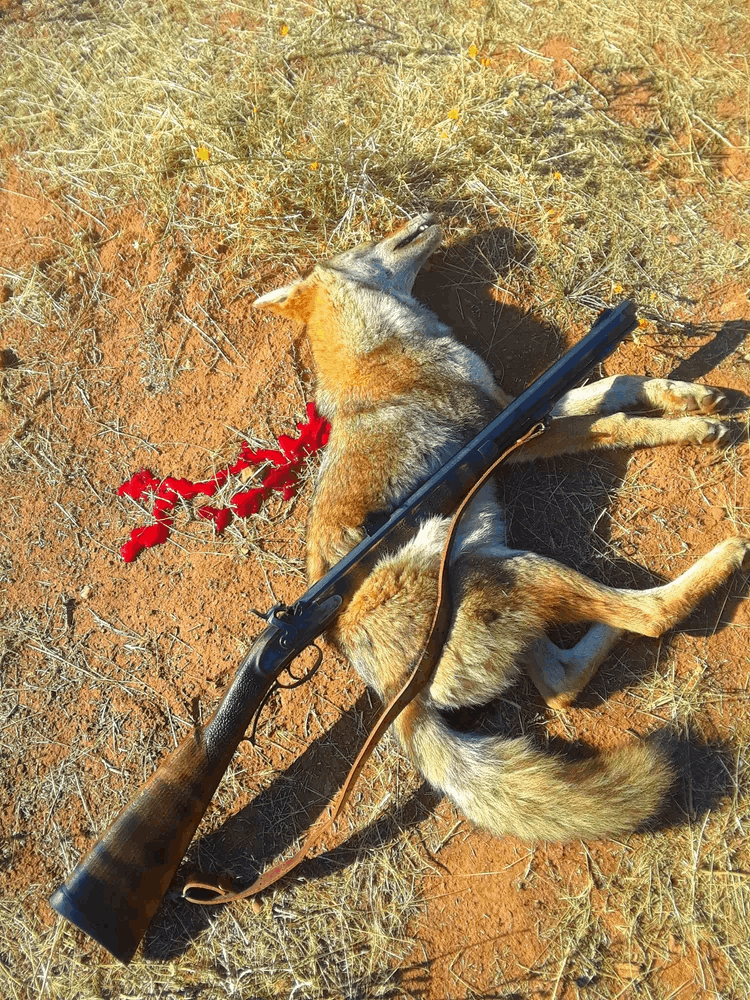 MikeResor_50calLyman_PERCUSSION_Coyote_01