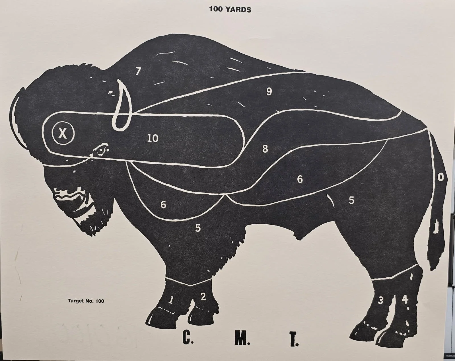 TG0100 -- Haffner Standing Buffalo